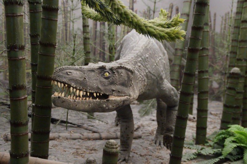 Учёные обнаружили в Кузбассе динозавра-бегуна