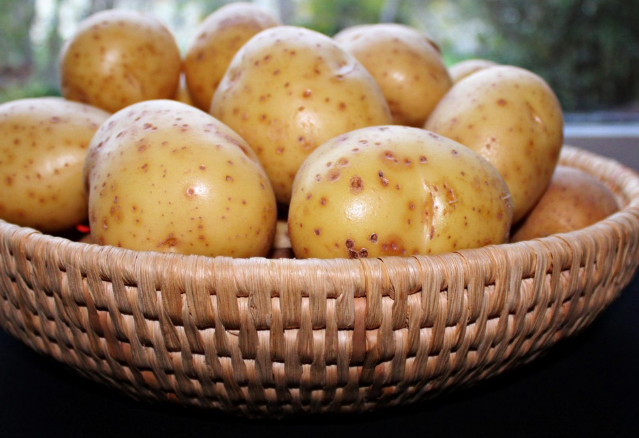 Гастроэнтеролог Утюмова назвала картофель самым вредным овощем